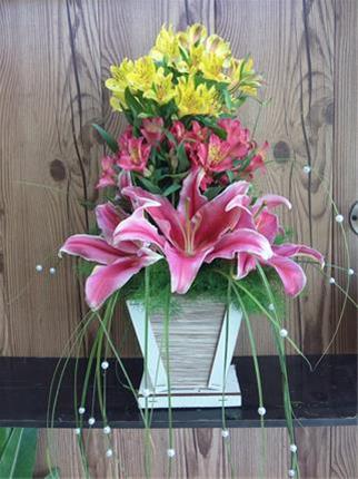  فروش انواع گلدان تزئینی